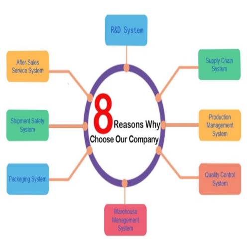 8 Reasons Why Choose Our Company
